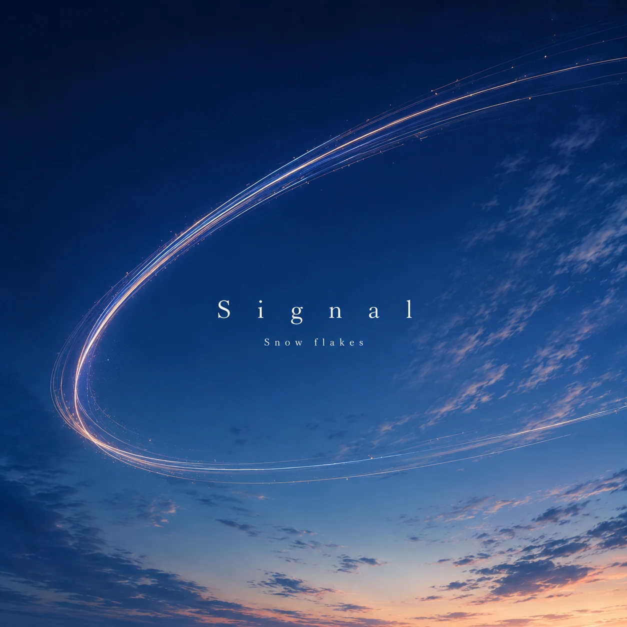 Signal